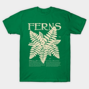 FERN Plant Shirt with Description and Cute Bugs Botany Shirt for Garden Lover Educational Gift T-Shirt